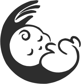 لوگوی سایت مینی لباس با رنگ مشکی